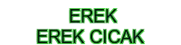 erek erek cicak