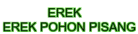 erek erek pohon pisang