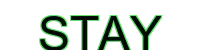 stay